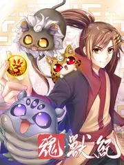 声音的战场 音乐竞演综艺免费在线看